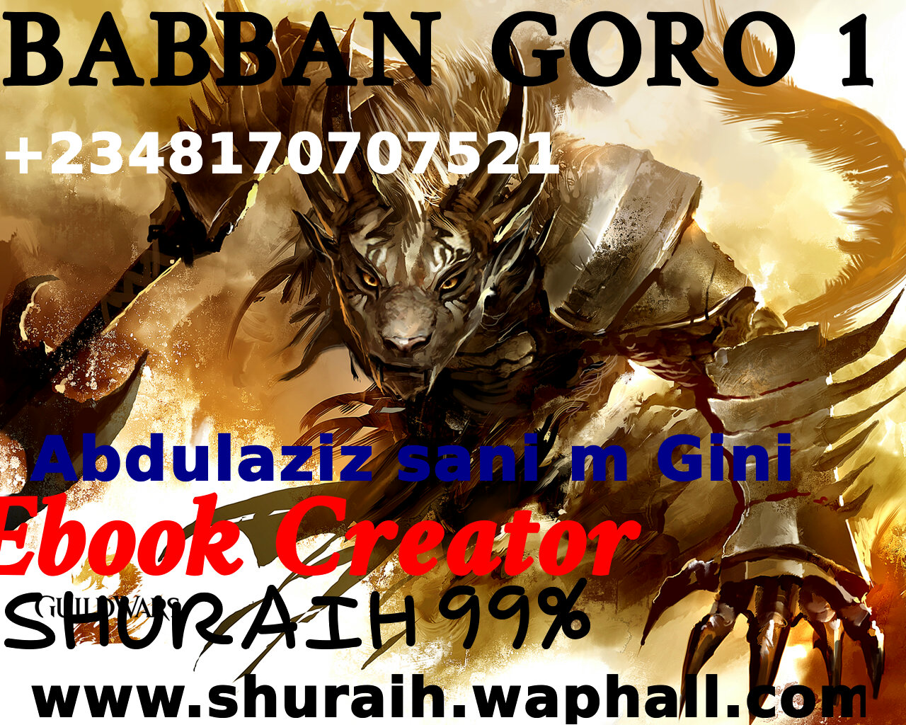 hausaebooks:- Babban Goro 1 na Abdulaziz sani m/gini